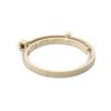 Insectostop collar against fleas and ticks for cats and small dog breeds, 35 cm
