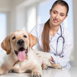 Veterinary preparations