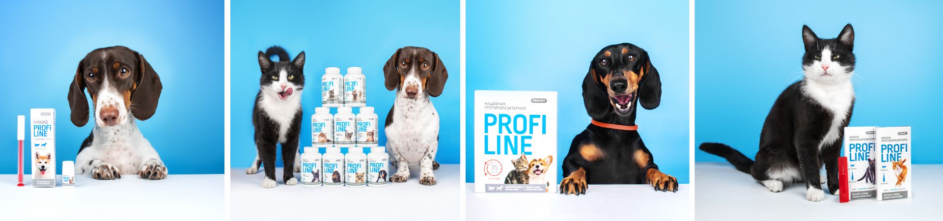 Updated PROFILINE professional line