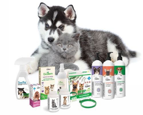 Pets care culture: the checklist from ProVET TM