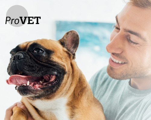 8 reasons why you should choose ProVET